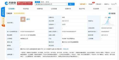 愛奇藝在重慶成立科技公司，拓展創業空間與信息系統集成服務